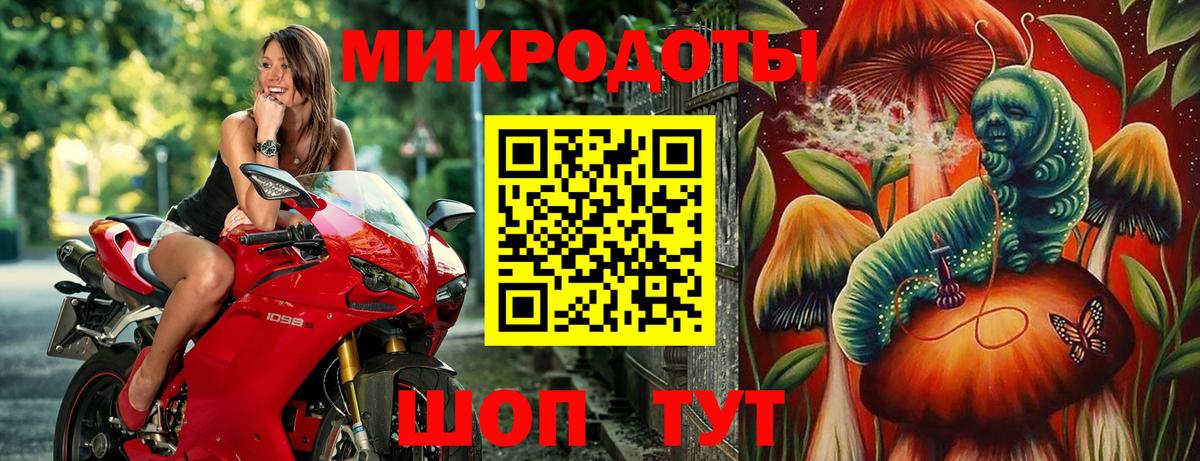 купить  сайты  Псилоцибиновые грибы Psilocybe  Буйнакск  Псилоцибиновые грибы Cubensis 