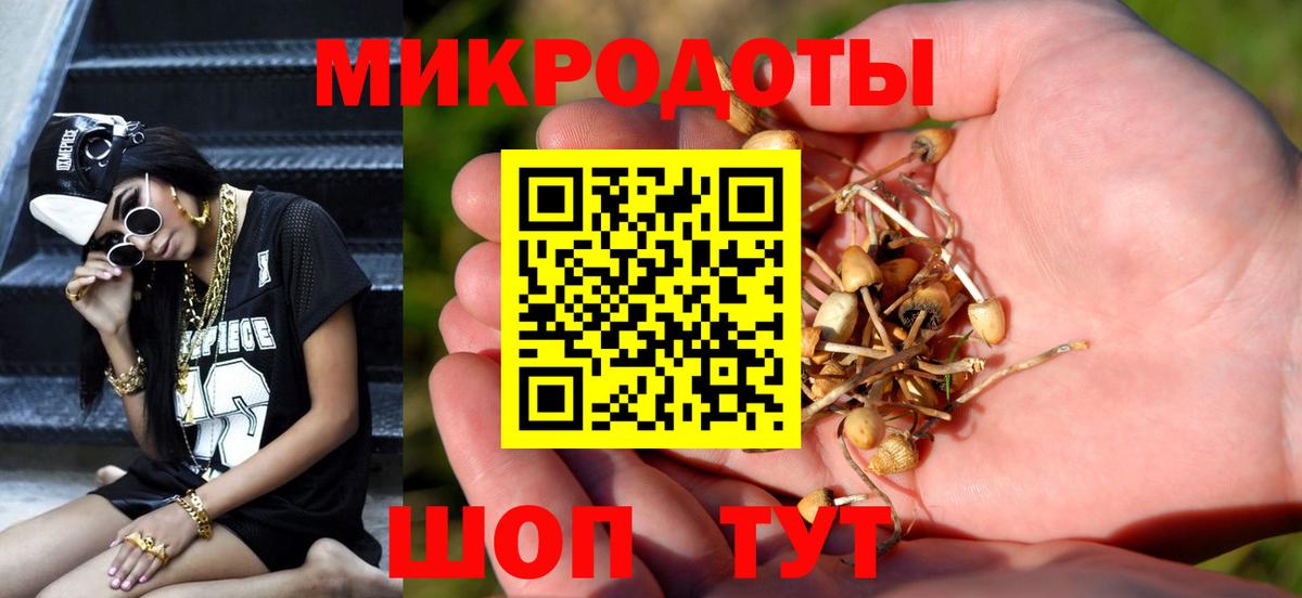 Галлюциногенные грибы ЛСД Буйнакск